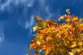 이타닉가든 예약 바로가기|취소분 공략 팁|예약문의에 대한 사진