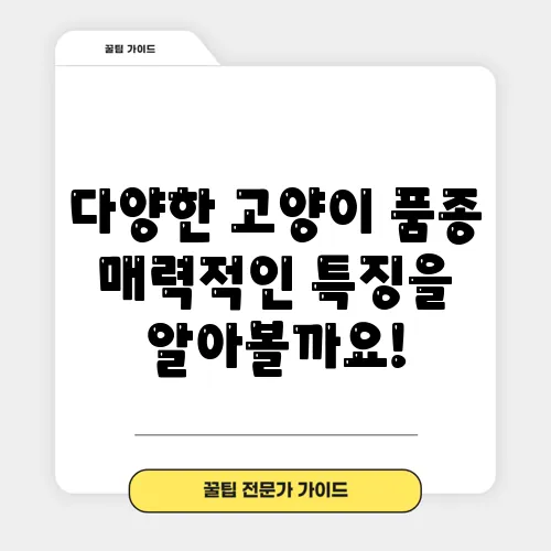 다양한 고양이 품종 매력적인 특징을 알아볼까요!