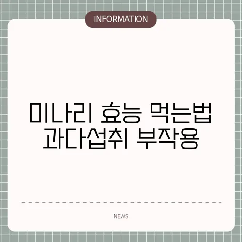 미나리 효능 먹는법 과다섭취 부작용