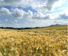 폭싹 속았수다 촬영지