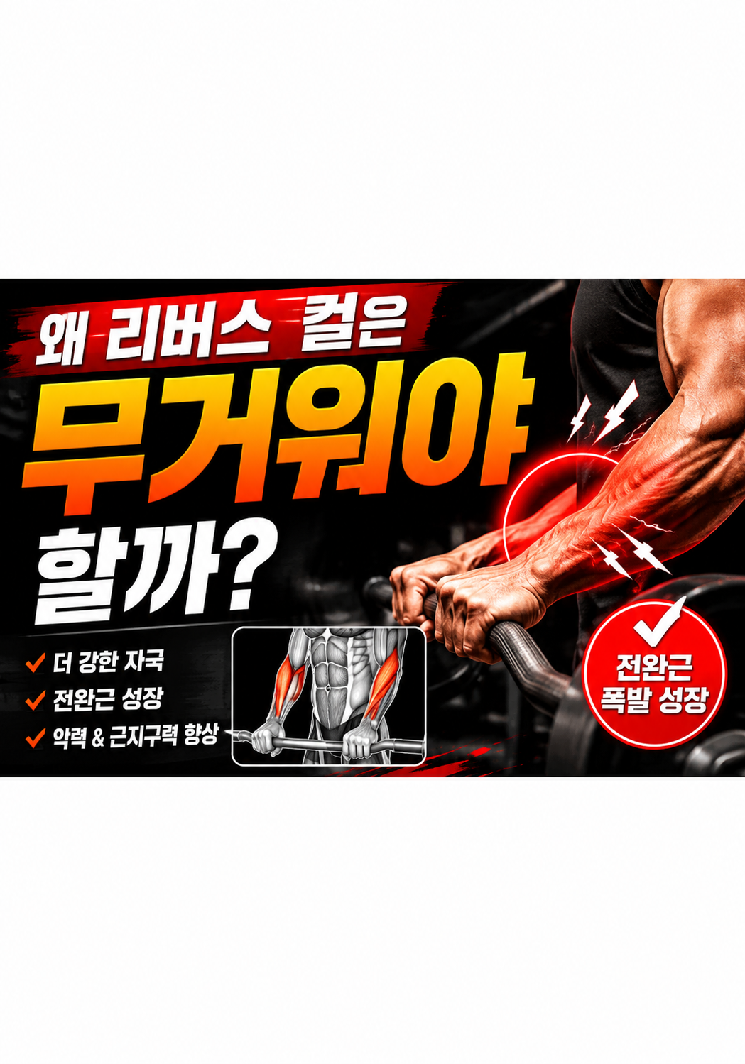 리버스 컬은 무게를 많이 써야 할까: 많은 사람들이 착각하는 이유