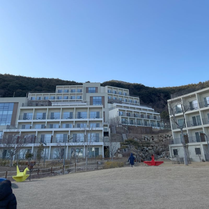 삼성-영덕연수원-후기