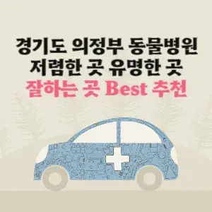 경기도 의정부 동물병원 잘하는 곳 가격 저렴한 곳 추천
