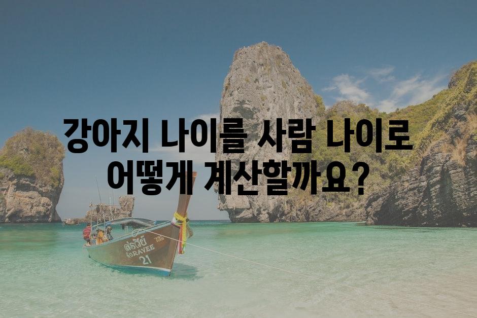 샘플 (80)
