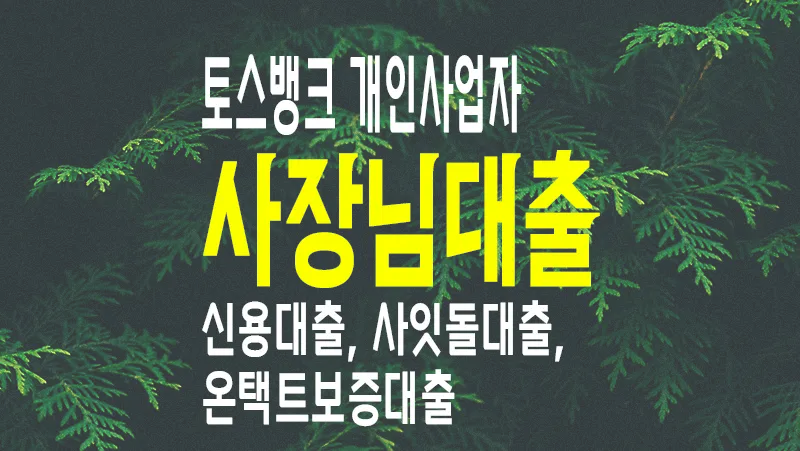 개인사업자 신용대출 토스뱅크 사장님대출&#44; 온택트보증 및 사잇돌