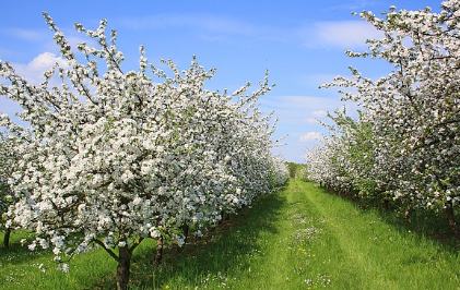 화담숲-예약-방법