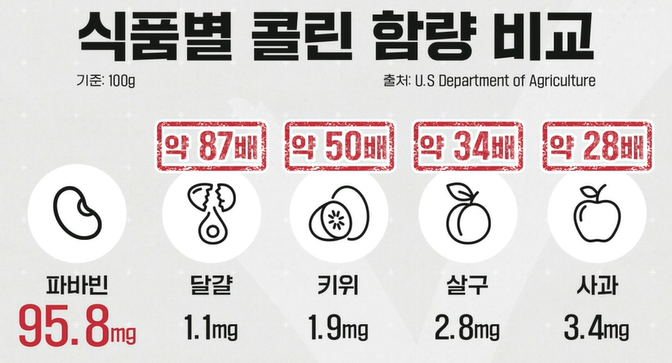 파바빈 효능