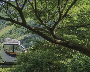 화담숲 예약, 모노레일