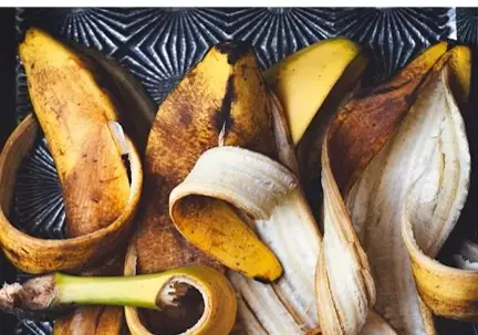 껍질 깎아도 안심 금물? 사과·바나나·오렌지도 꼭 씻어야 하는 이유!