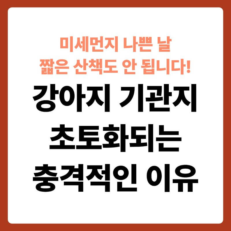 뿌연 미세먼지 안개가 자욱한 야외 공원 바닥에 코를 대고 냄새를 맡고 있는 강아지의 앞모습