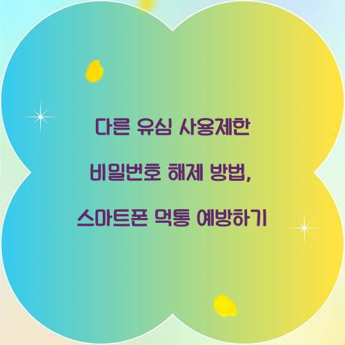 다른 유심 사용제한 비밀번호