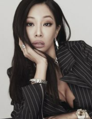 가수 제시 폭행
