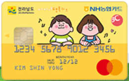 전남 다자녀행복카드