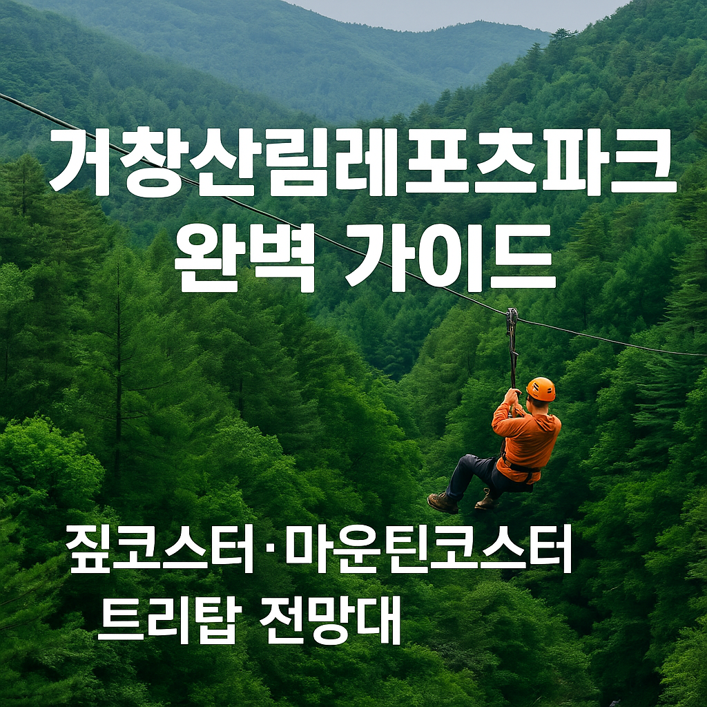 거창산림레포츠파크 완벽 가이드