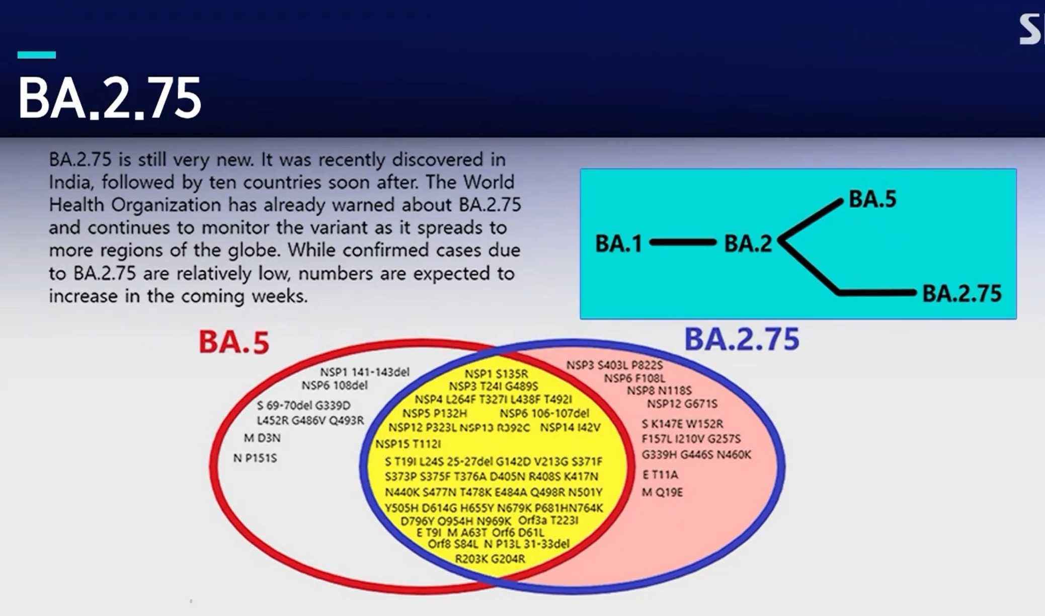 켄타우로스 변이