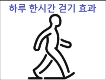 하루 한시간 걷기 효과
