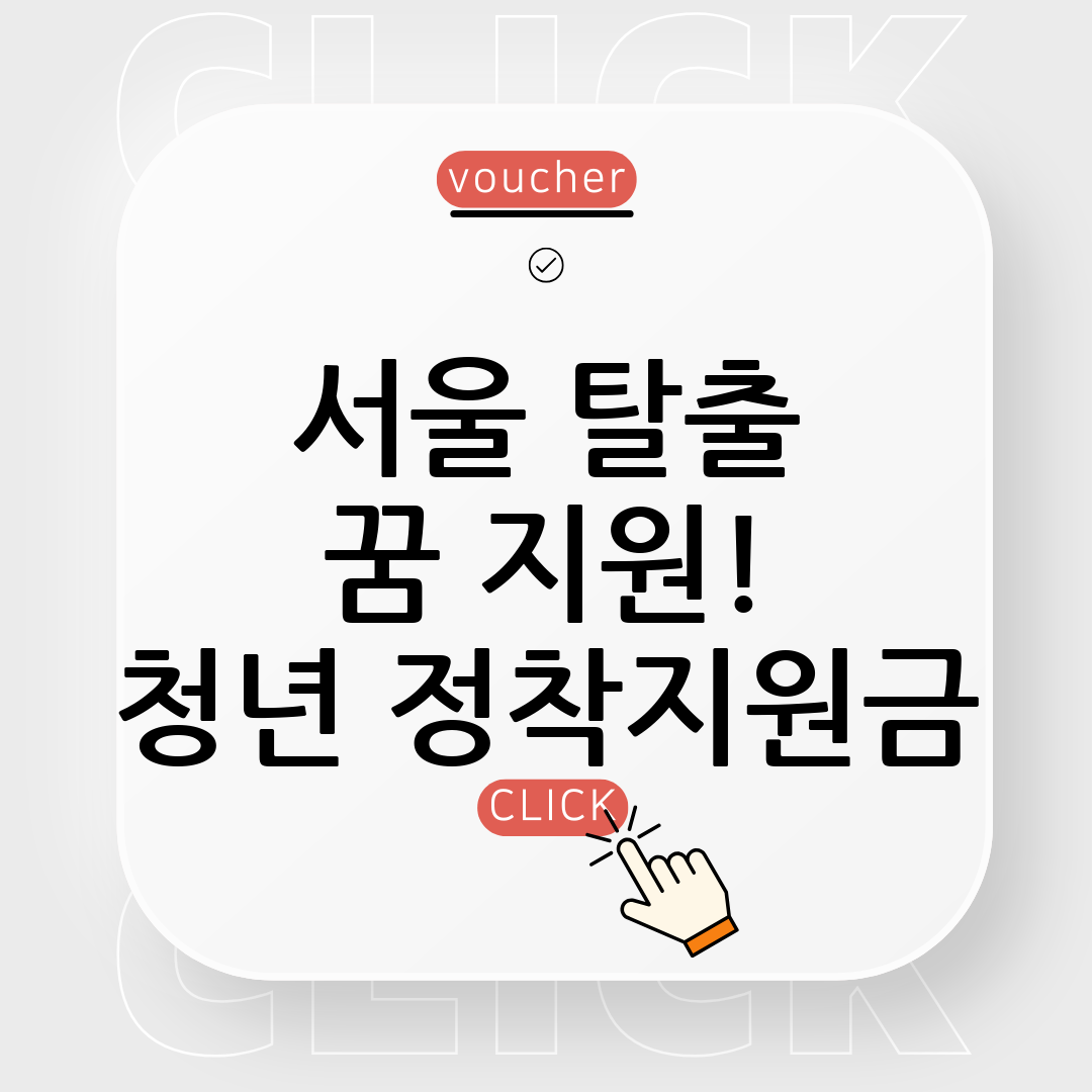 청년 정착지원금