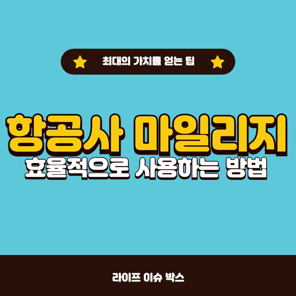 항공사 마일리지를 가장 효율적으로 사용하는 방법