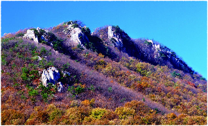도드람산