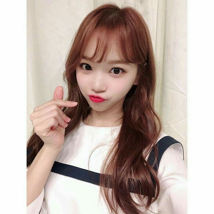 김채원 사진 모음