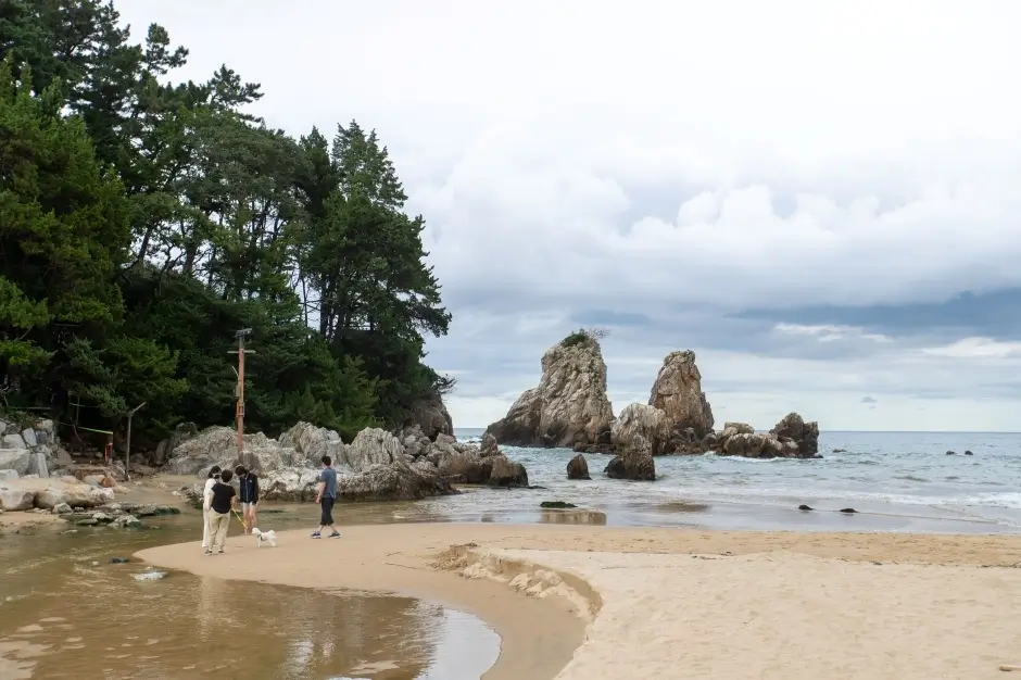 31fda604-11cf-415a-b507-9bf88f494171