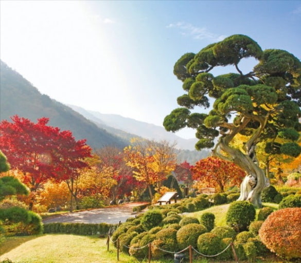 광릉수목원 예약 방법