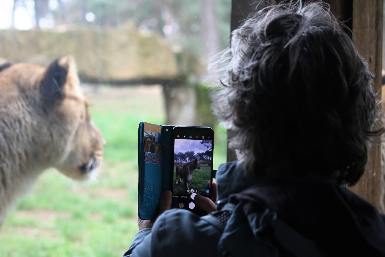 노인을 위한 디지털 실습 가이드 &ndash; 어디서, 어떻게 시작해야 할까?