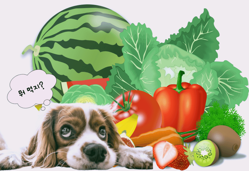 강아지에게 좋은 음식