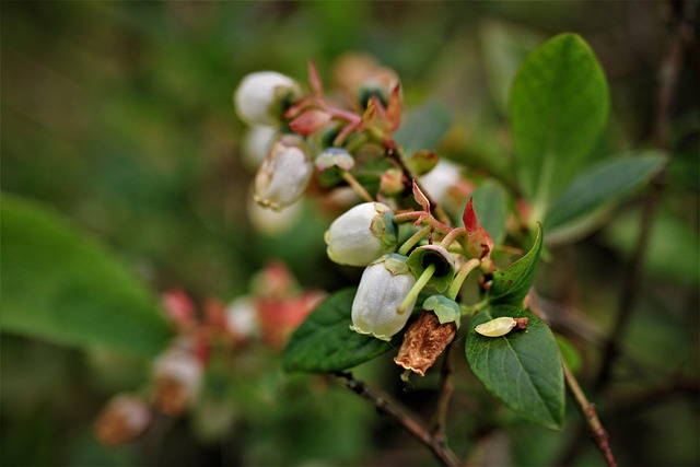 전립선에 좋은 음식 2