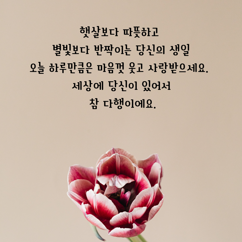 생일 축하 메세지 꽃다발 이미지 그림 사진 모음