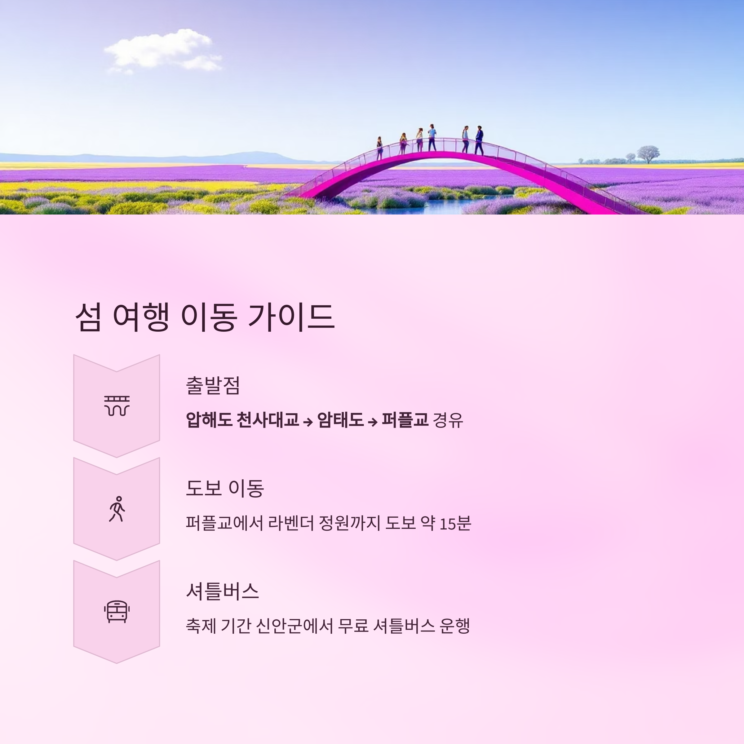 2025 퍼플섬 라벤더 축제, 보랏빛 향기로 물드는 섬 여행