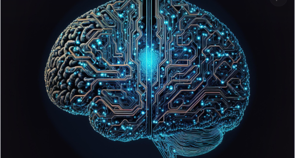 각국의 교육환경과 미래에 대한 이미지