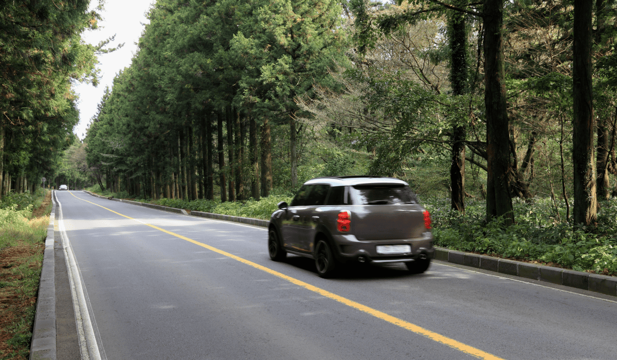 제주렌트카비교사이트_10