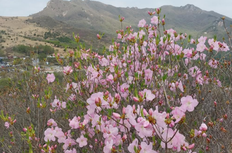 황매산 등산코스