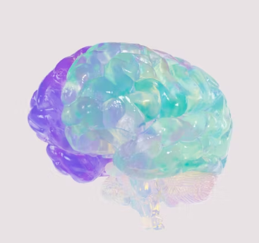 포스파티딜 세린 효능 음식 추천 부작용