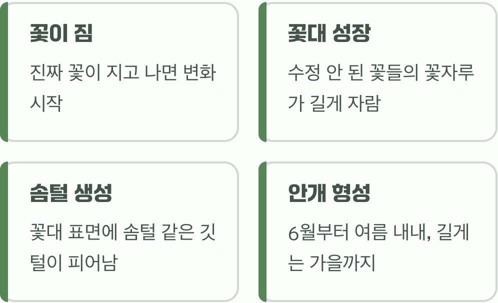 마법의 시작, 안개는 어떻게 만들어질까?