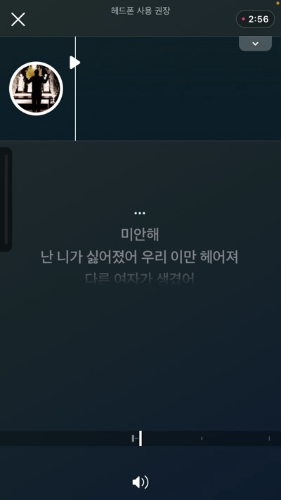 Smule recording view