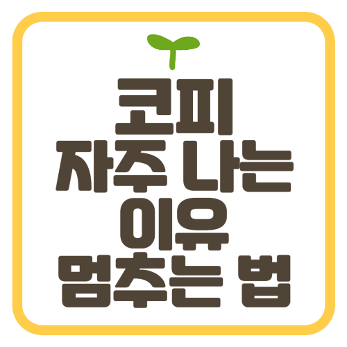 코피 자주 나는 이유 멈추는 법