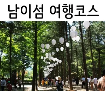 남이섬 여행 코스 배시간 산책루트 가평 카페까지 알찬 당일치기_6