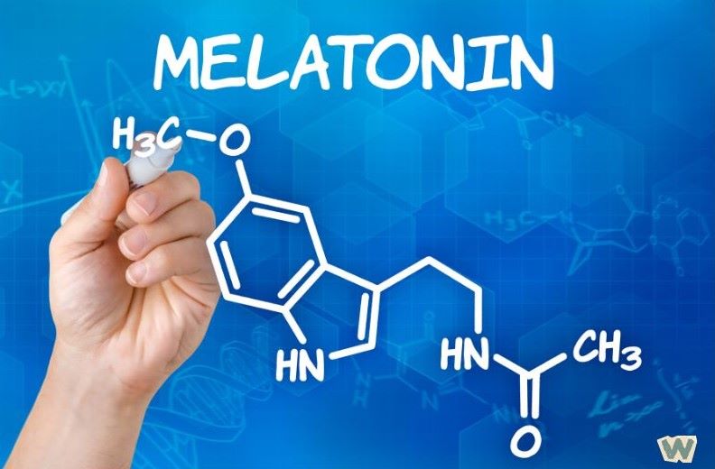 멜라토닌 화학구조식과 분자식 - 수면호르몬 멜라토닌 영양제 성분 설명 via canva