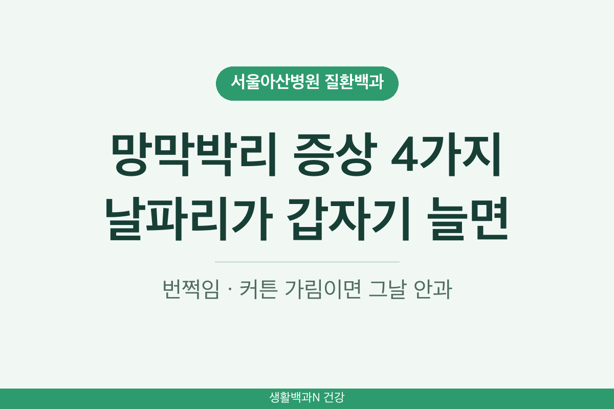 망막박리 증상 4가지 비문증 광시증 시야 가림 찌그러져 보임