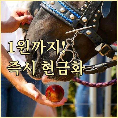 삼성카드 보너스포인트 현금화 1원 전..