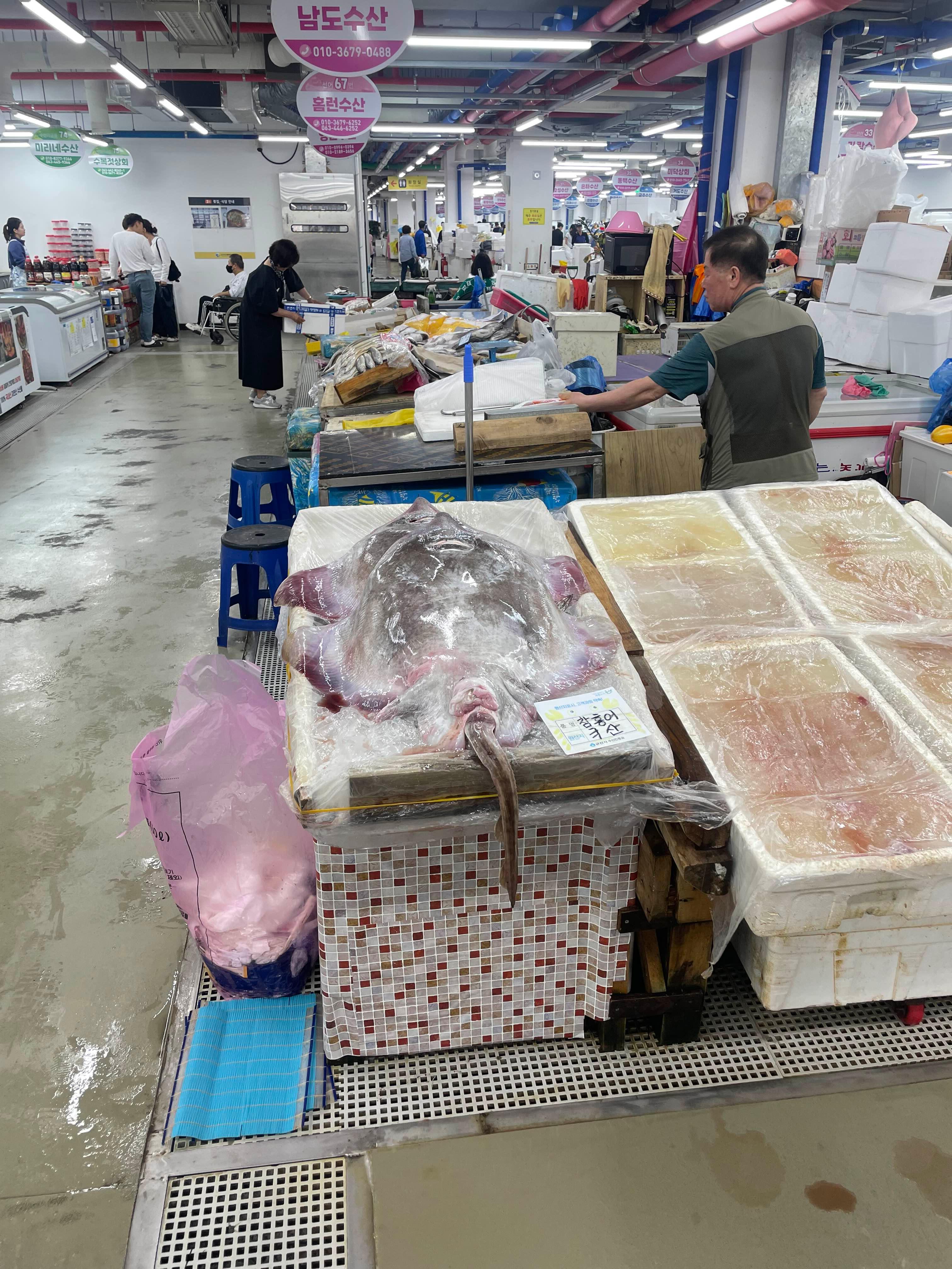 군산여행 필수 코스 군산수산물종합센터