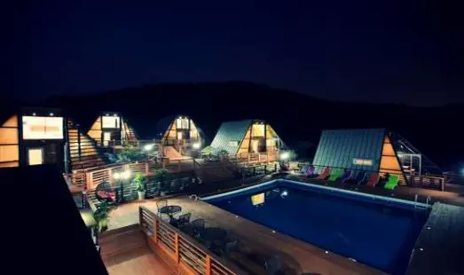 세모난나무