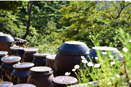 서울 근교 힐링 여행! 강화도 필수 방문 명소 5곳
