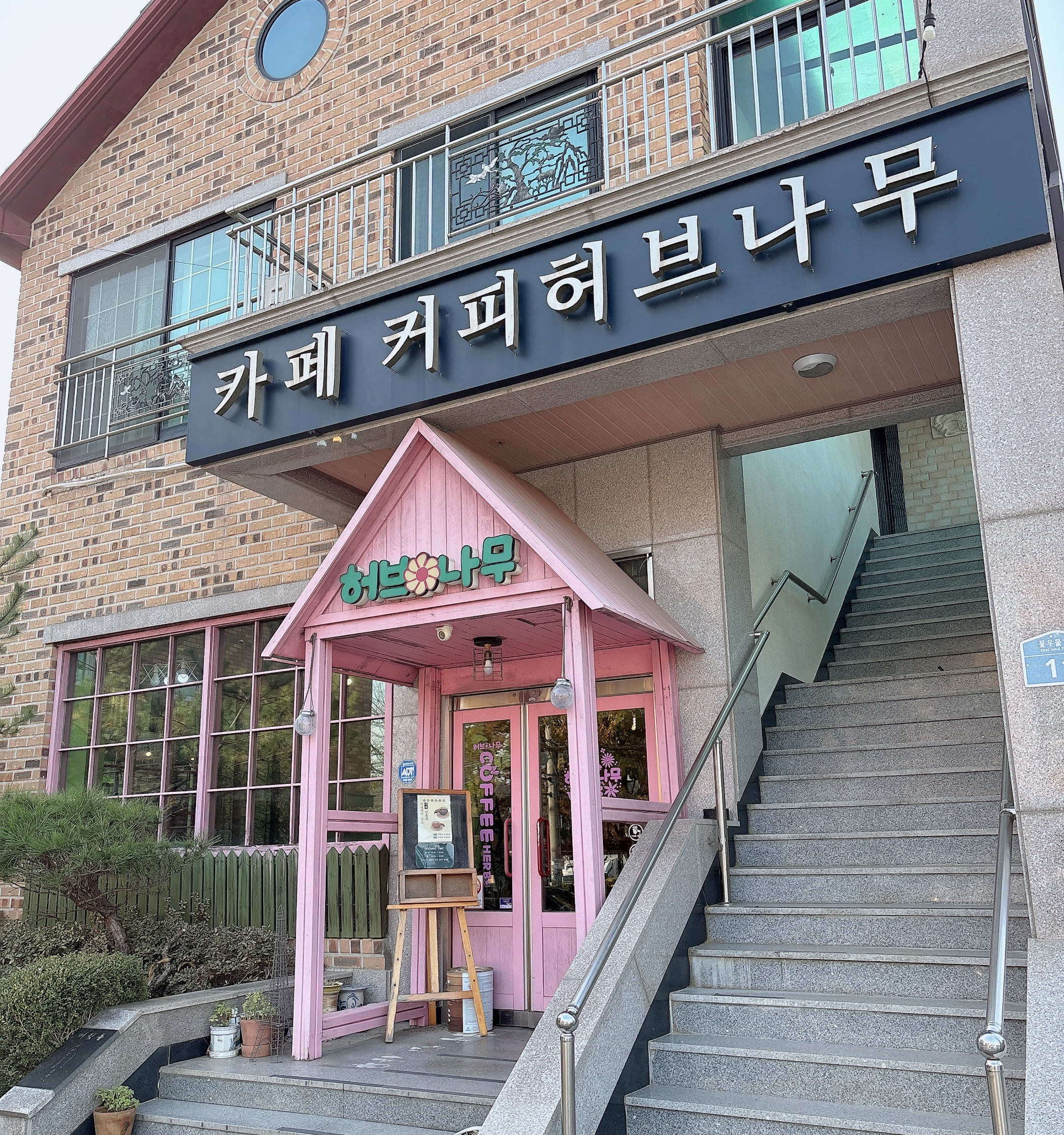 카페커피허브나무