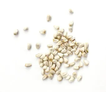 홍화씨 효능 영양성분 홍화씨유 먹는법_24