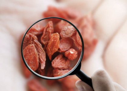 구기자 효능과 부작용 총정리