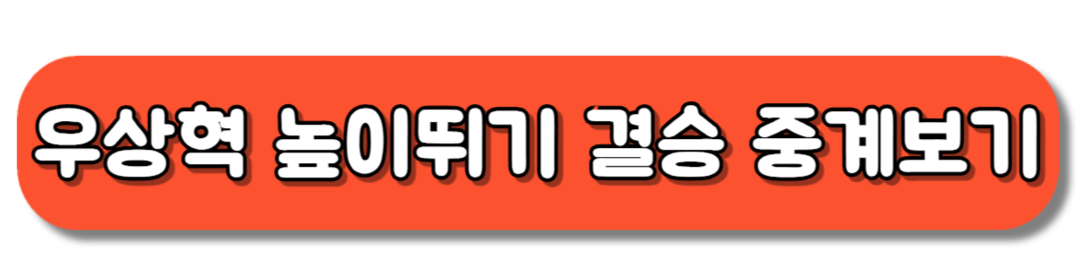 파리올림픽 우상혁 높이뛰기 결승 중계 바로보기