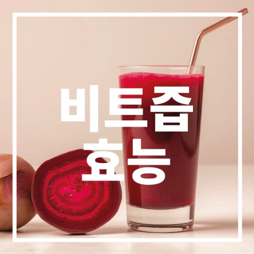 비트즙 효능